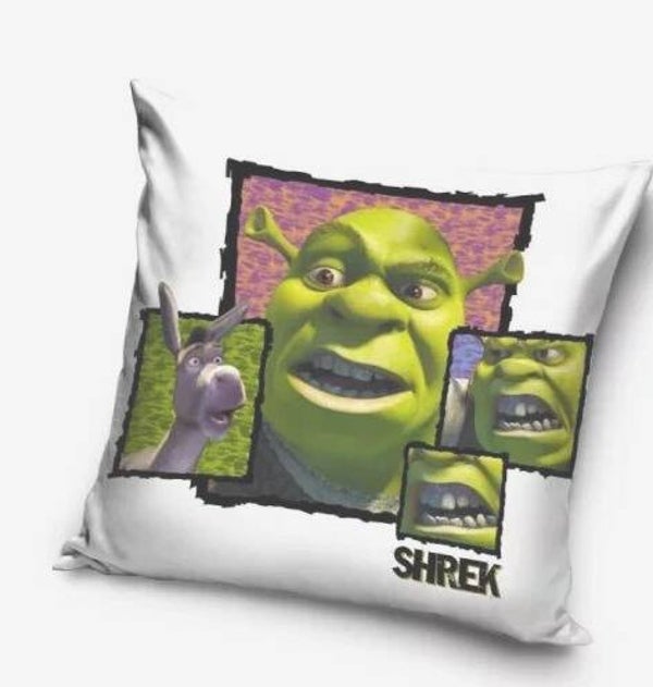 Shrek Kissenbezug – Samt 40×40 cm
