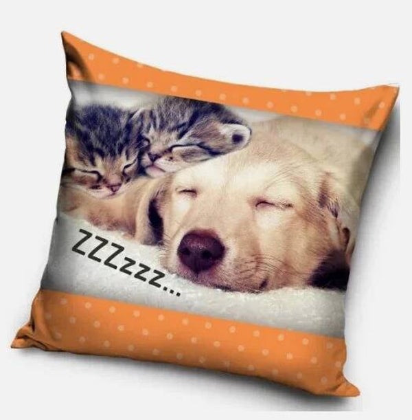 Kissenbezug Katze ZZZ Hund – 40x40 cm