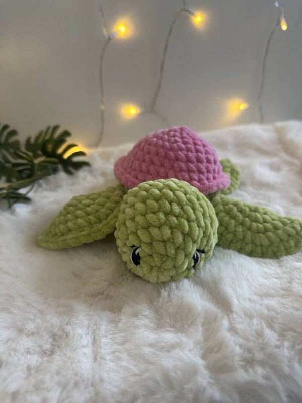 Tortue