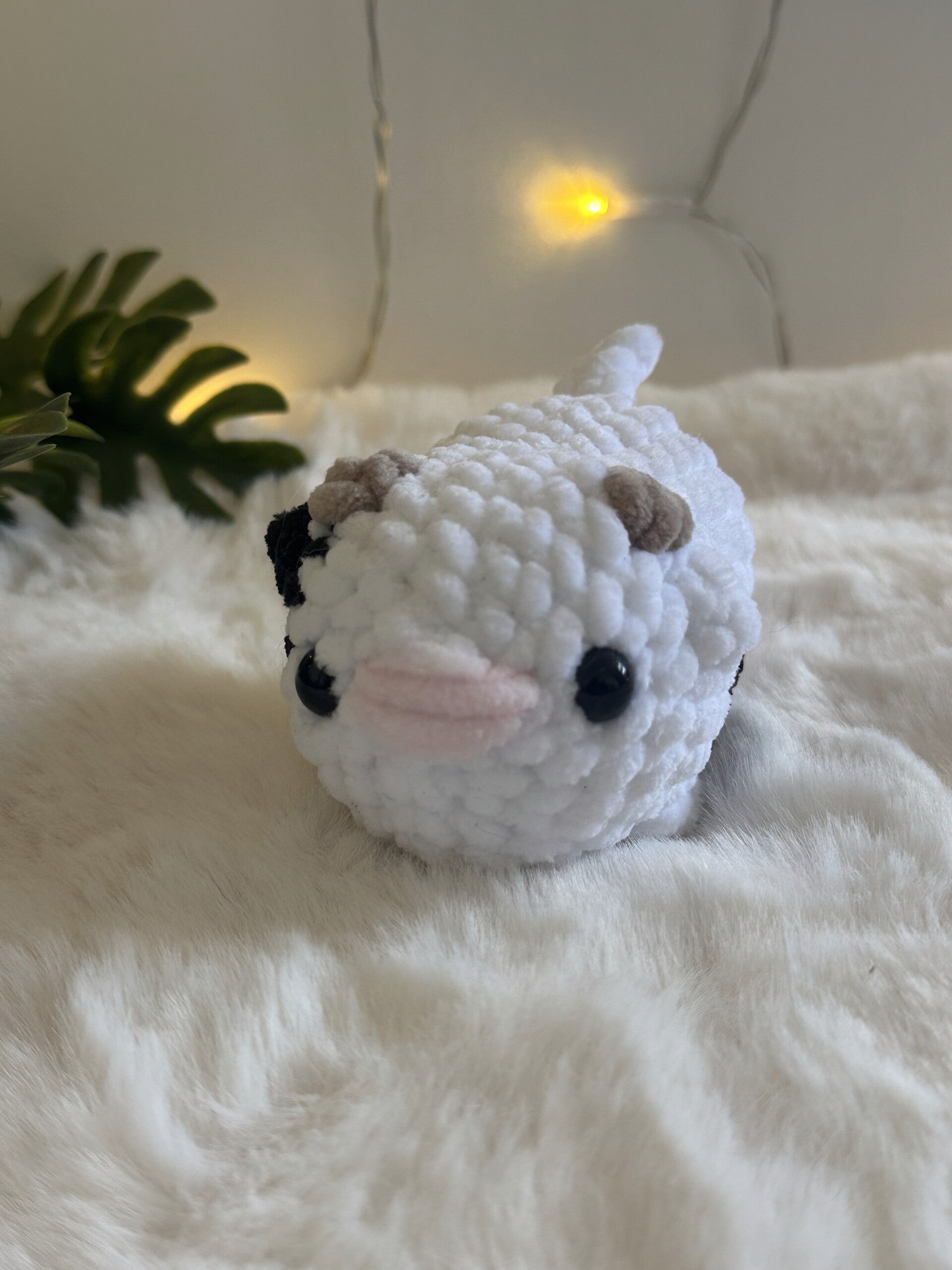 Petit animaux