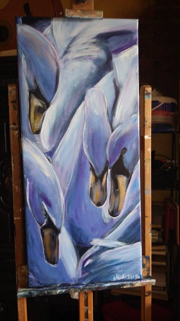 Samenhorigheid (zwanen) - Togetherness (swans) code A2-014)