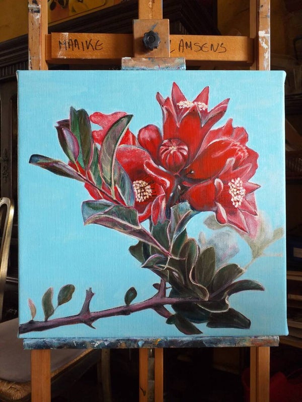 Granaatappelbloesems - Pomegranate blossoms - Code A2 - 016 