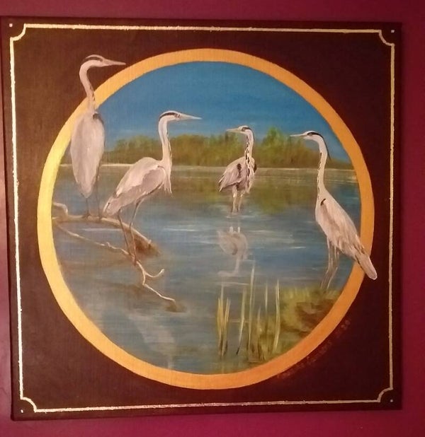 Belgische reigers -  Belgium herons     Code A2-040