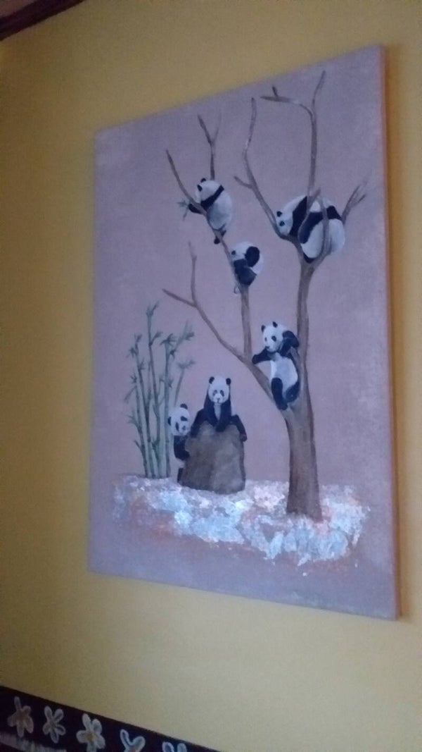 My playing pandas