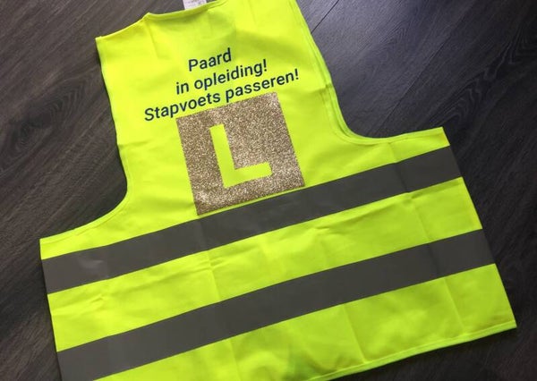 Veiligheids hesje