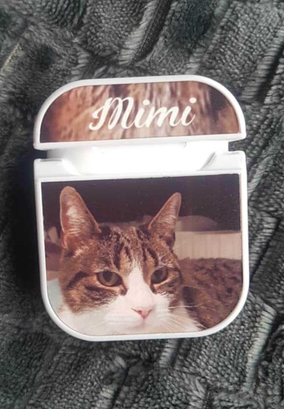 Air pods Case