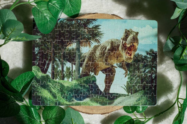 Foto puzzel