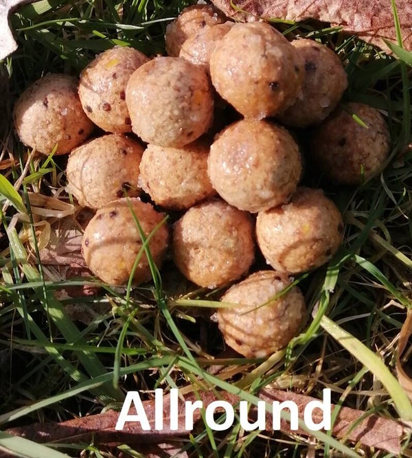 Allround 4kg 14mm