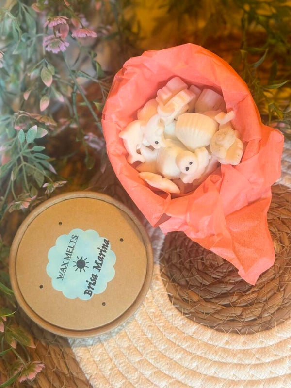 🌊 Wax melts Brisa Marina - 🏖️COLECCIÓN VERANO 🏖️