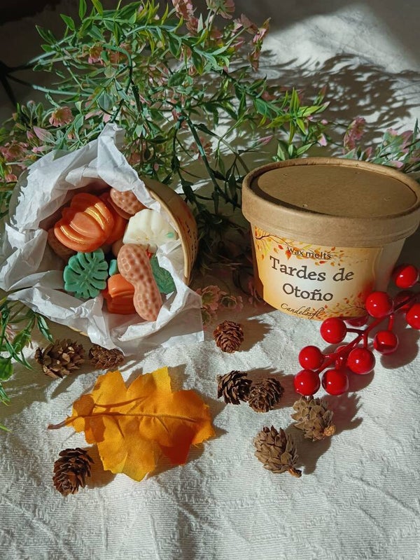 Tardes de Otoño 🍂 · Wax Melts Pumpkin Spice