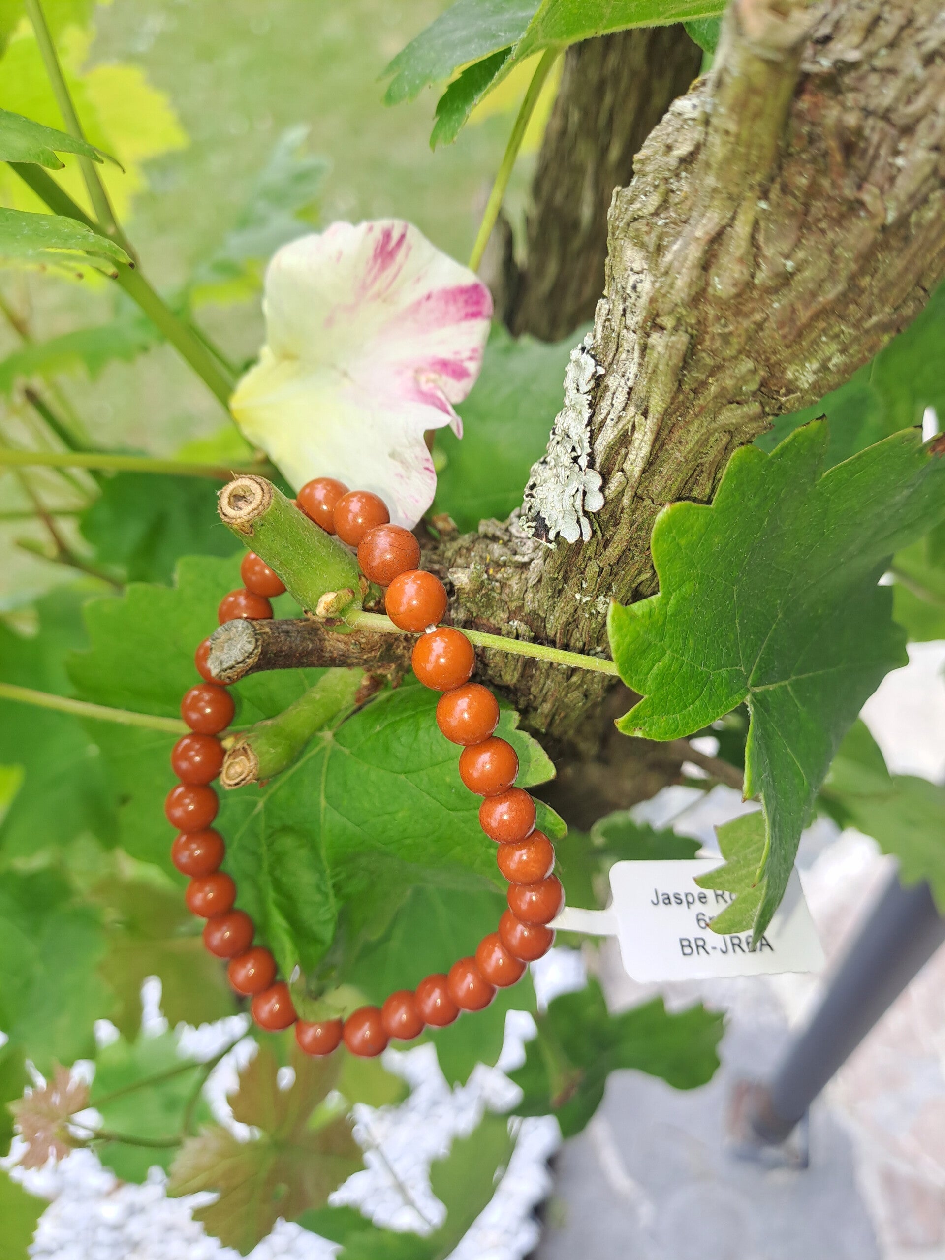 Bracelet Jaspe Rouge 6 mm