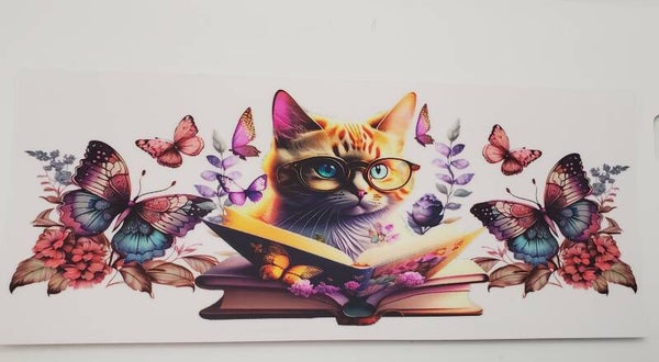 Reading cat