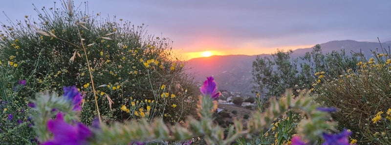Zonsondergang B€B Finca Conchales Andalusië
