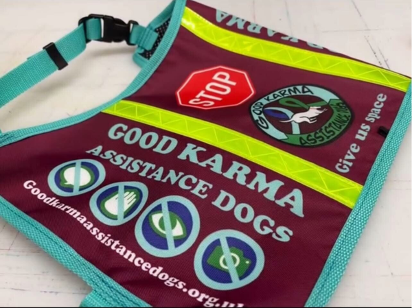 Full trained vest