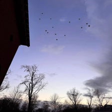 8376d0d6-3e85-4f19-8b45-66f7c4b551c4-standard.jpg
