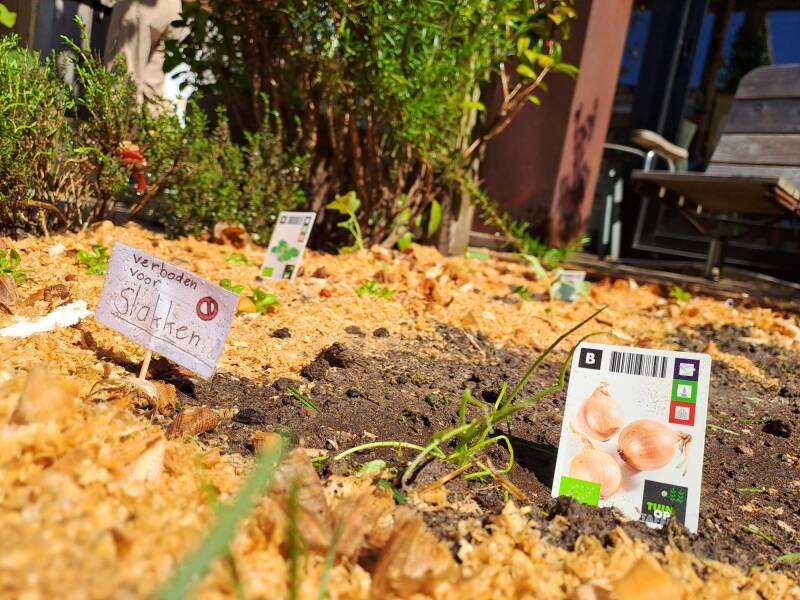 Houtsnippers in de moestuin