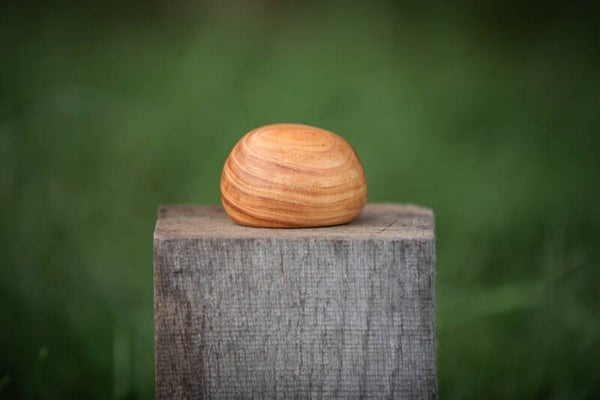 Knuffelkei van valse christusdoorn - Een houten mini urn