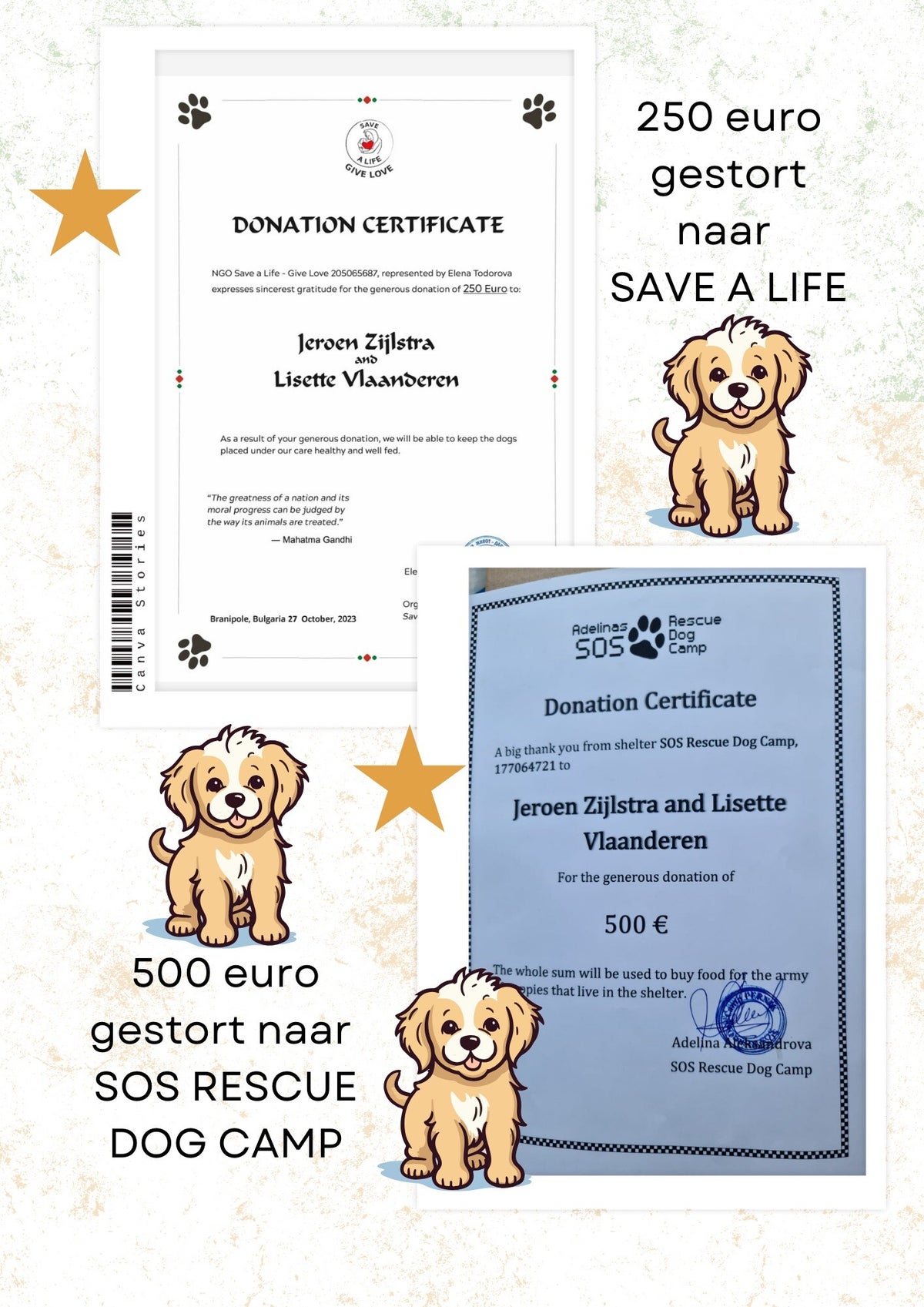 Nieuws | SOS Helping Dogs
