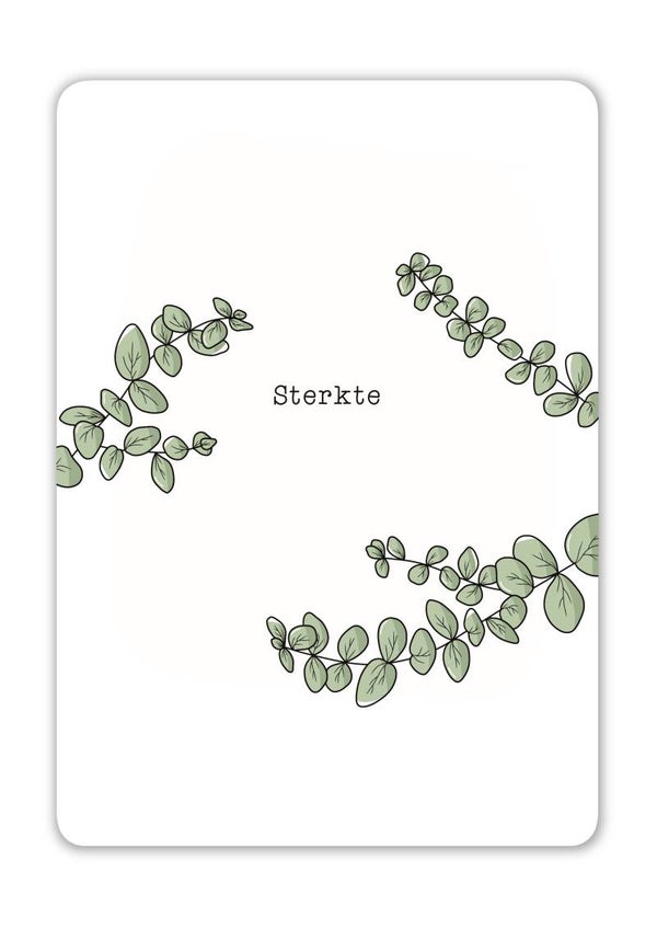 Sterkte