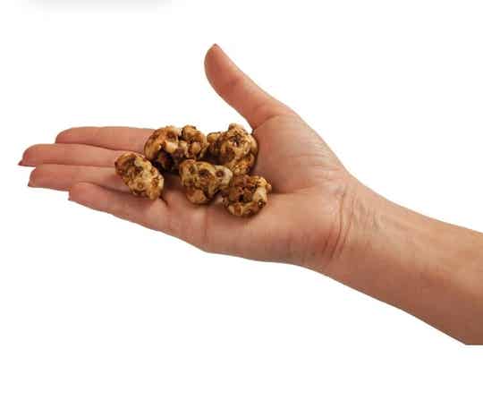 Psilocybe tampanensis XP truffels 20 gram