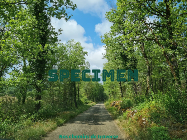 Dans les Causses du Lot