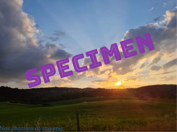 Coucher de soleil en Lozère