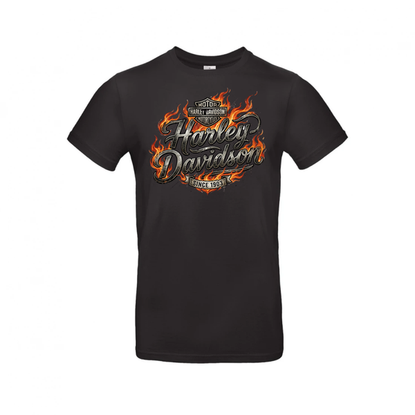 Harley-Davidson Flaming Script & Bar Shield