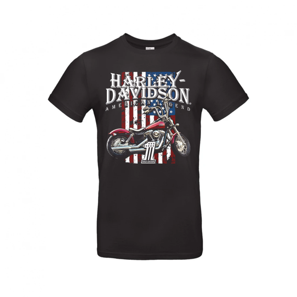 Harley-Davidson American Legend & Cruiser