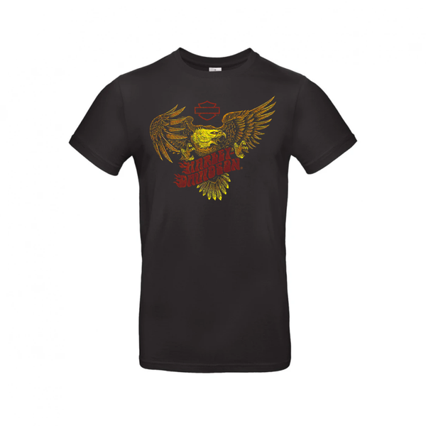 Harley-Davidson Soaring Eagle