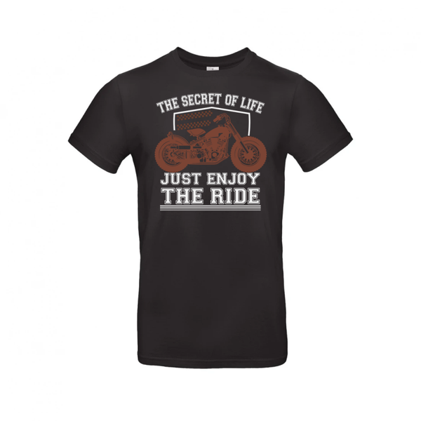 The Secret Of Life - Just Enjoy The Ride