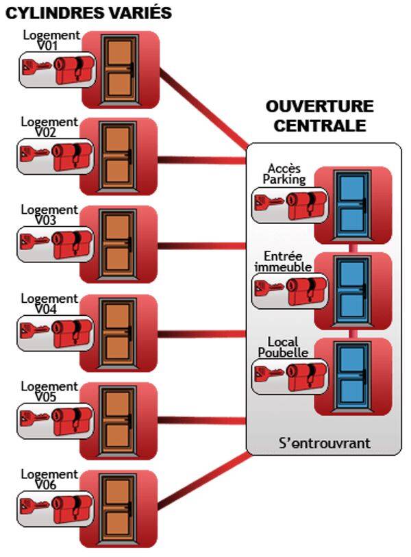 Cylindres variés d'Organigramme - Ouverture centrale