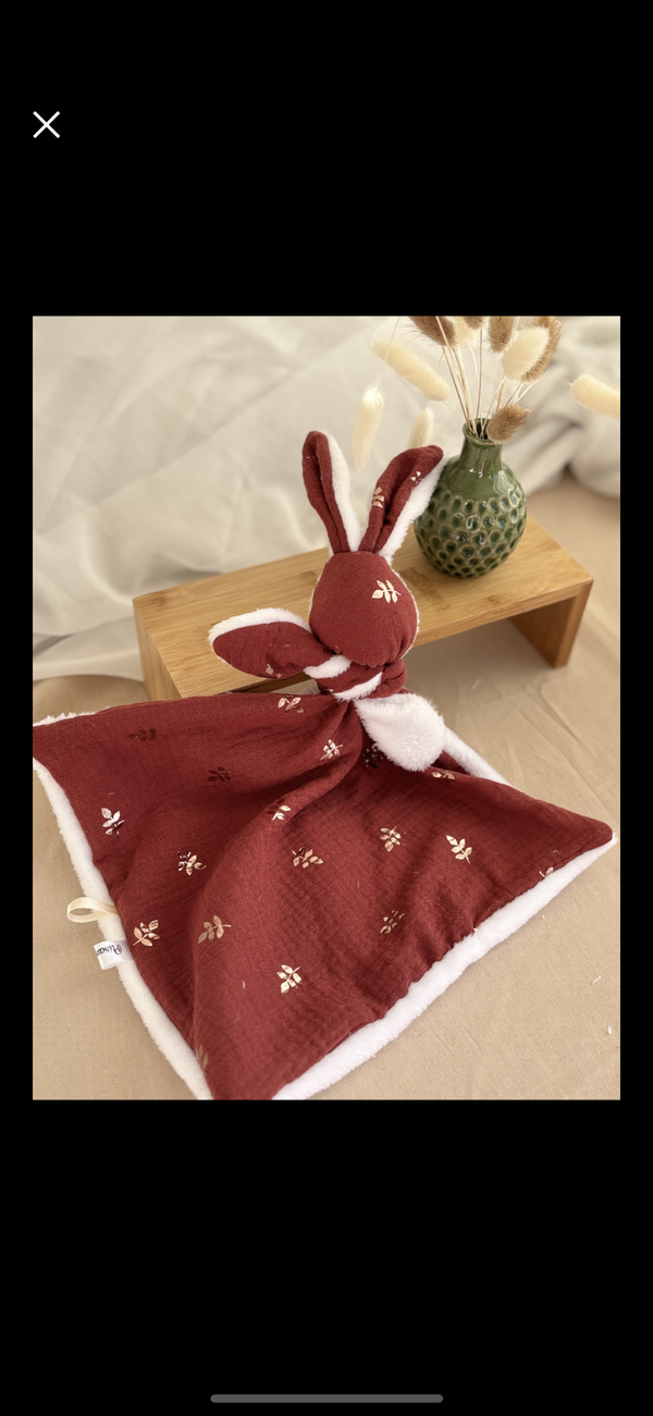 Commande léandre