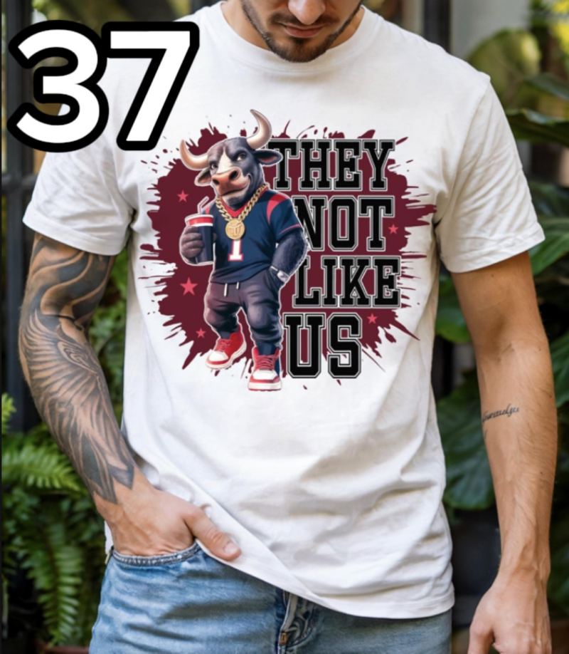 img_8905-standard-0p61iq.png