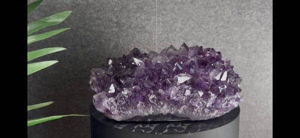 Amethist Cluster – 1,26 kg | 15 × 13,5 cm