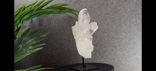 Bergkristal Cluster op Standaard – 497 gram | 15 cm