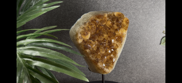 Citrien Cluster op Standaard – Grote Kristalpunten – 1,86 kg