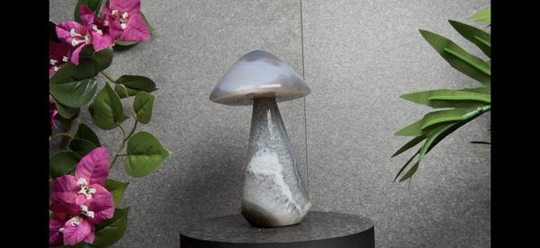 Agaat Paddestoel – 14 cm – 568 g