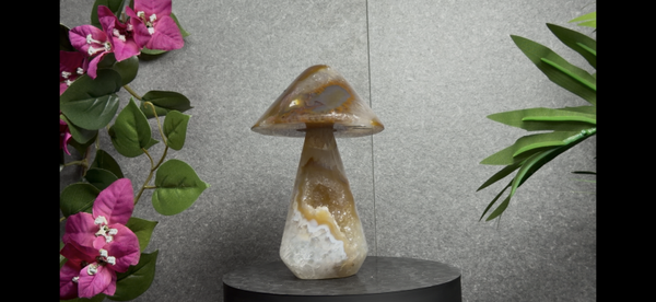 Agaat Paddestoel met Kristallen – 13,5 cm