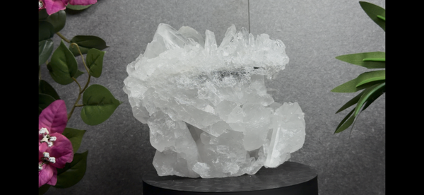 Bergkristal Kristalcluster – 13 cm – 1,429 kg