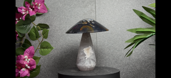 Agaat Paddestoel – 13 cm – 629 g