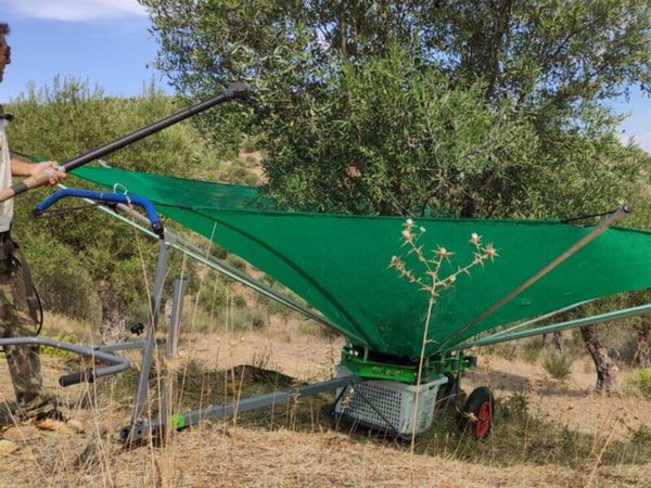 Parapluie de récolte d'olives (4 -5m)