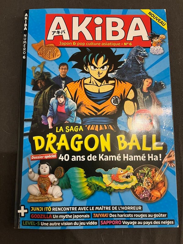 Livre Revue Akiba N.6 Dragon Ball Japan Culture Manga Vidéo Games 2024