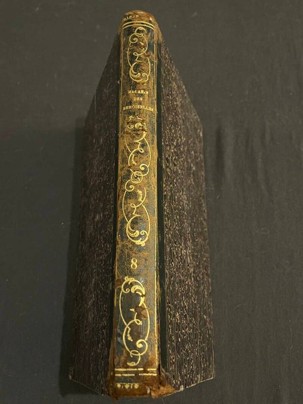 Rare Livre Ancien Magasin Des Demoiselles Tome 8 Paris 1851-52 Reliure Collector