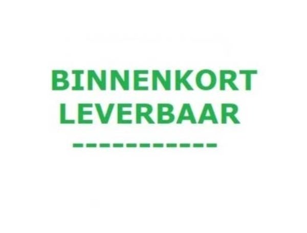 Lithium/accu brandblusser 9-liter niet-vorstbestendig (13A)