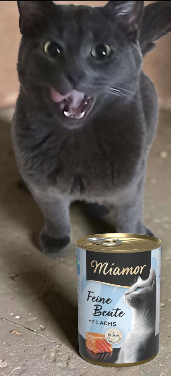 Miamor Feine Beute Lohi 400g