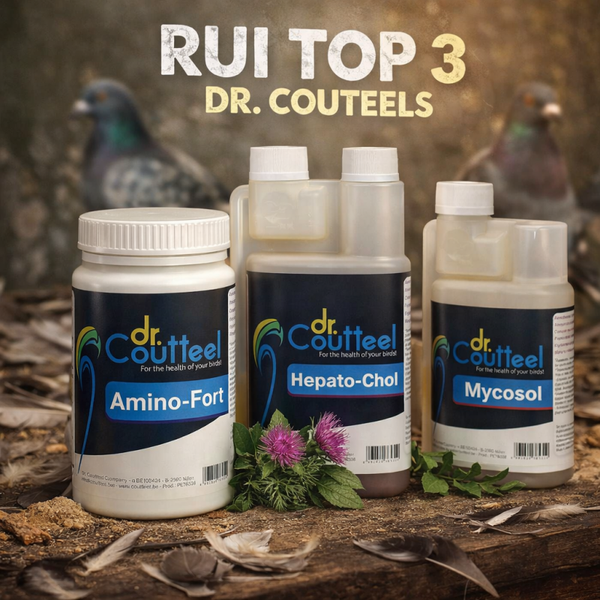 Bundel Top3
