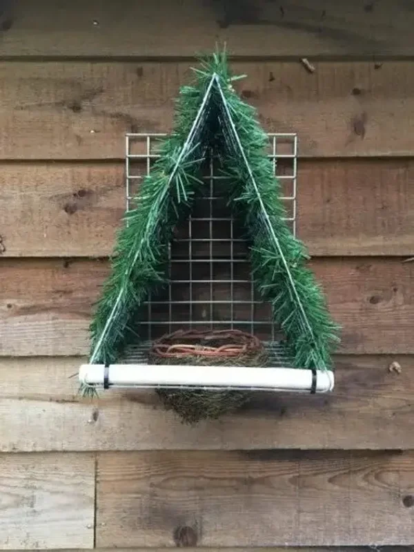 Nestkastjes