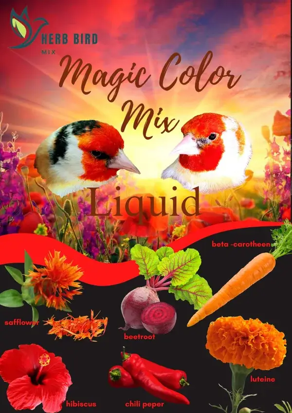 magic color liquid (300 ml)