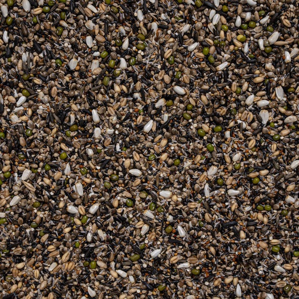 deli nature 38 Kiemzaad Europese Vogels Suprème