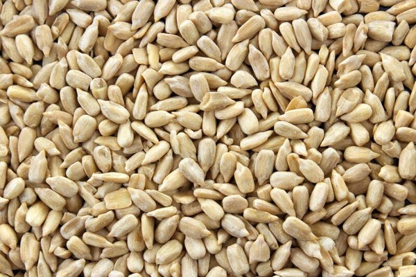 Gepelde Zonnepitten 5 Kg